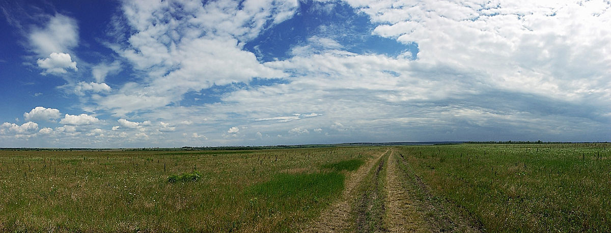 фото "Степь да степь кругом..." метки: пейзаж, облака