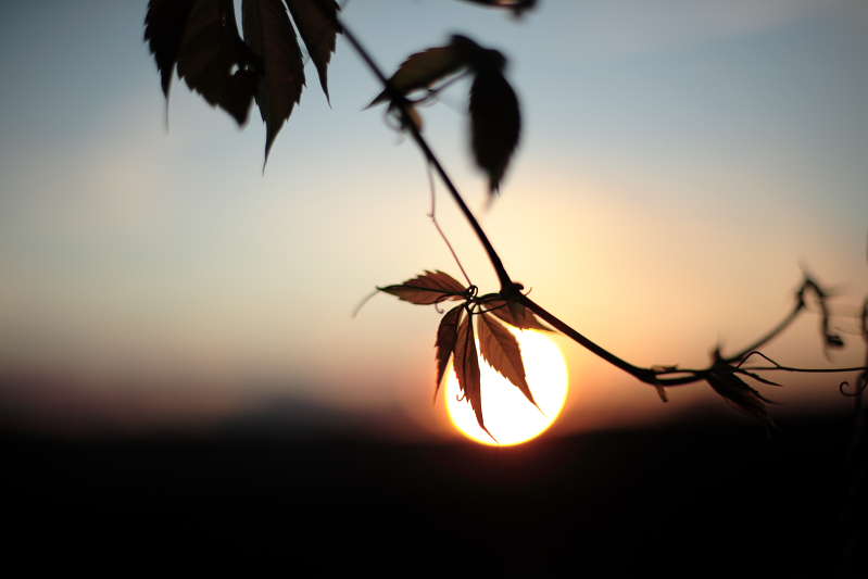 photo "***" tags: landscape, sunset