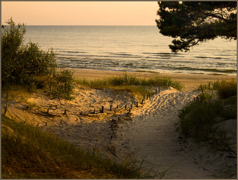 photo "To the evening sea" tags: landscape, summer, sunset