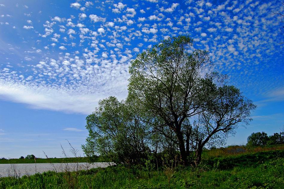 фото "Дружная стайка облаков" метки: пейзаж, облака