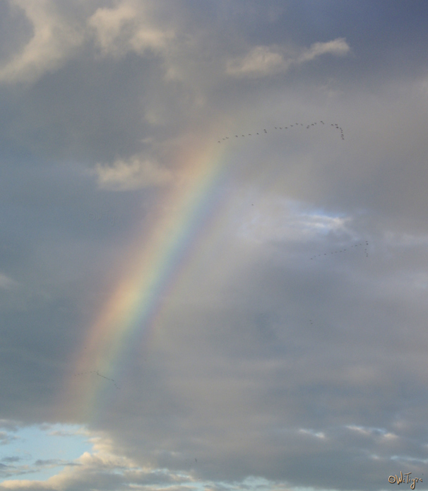 photo "Flights" tags: landscape, clouds, sunset