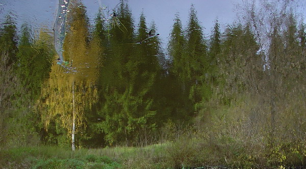 фото "Отражение" метки: пейзаж, вода, лес