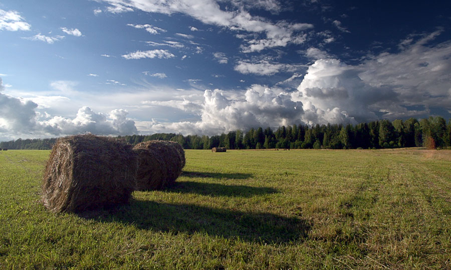 photo "***" tags: landscape, clouds, summer