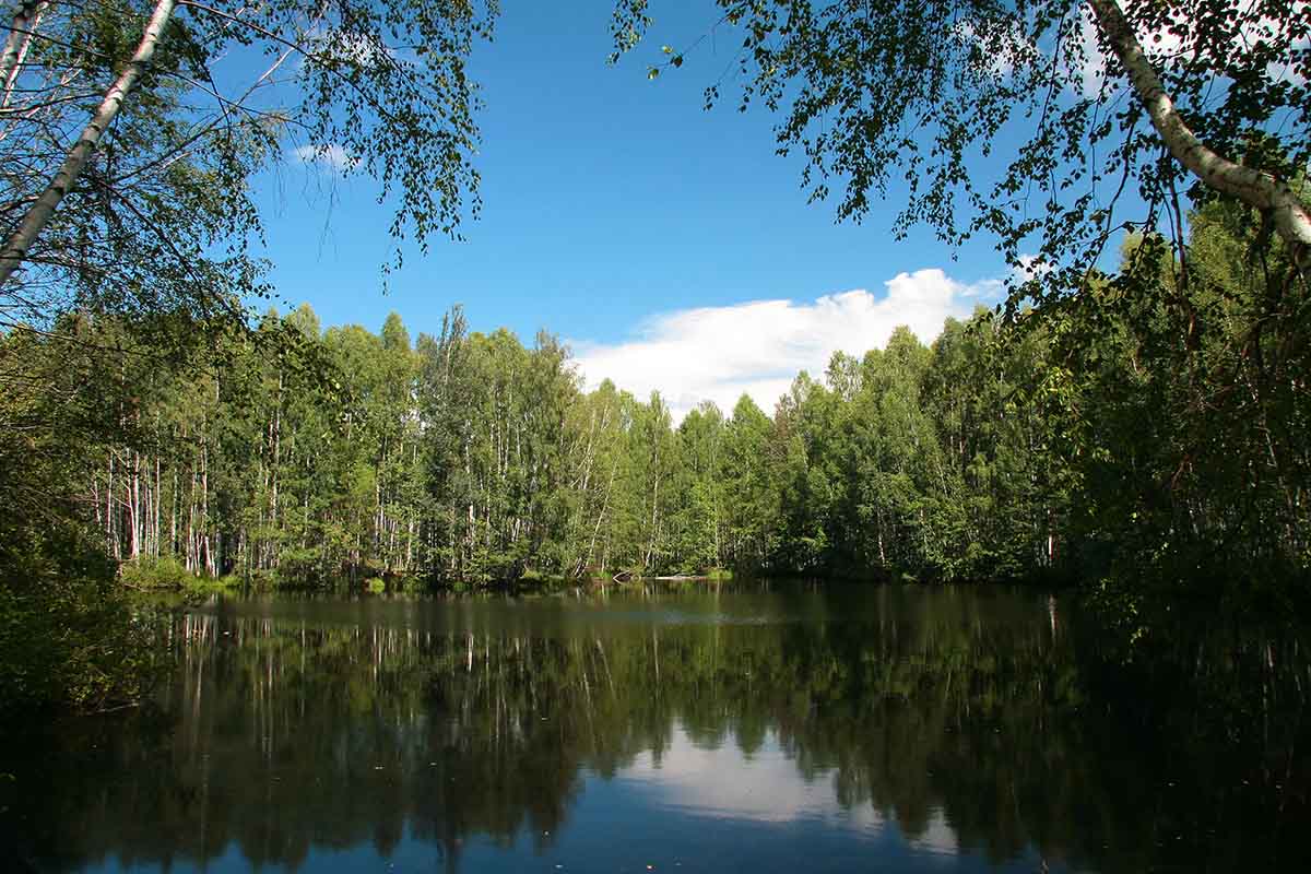 photo "***" tags: landscape, summer, water