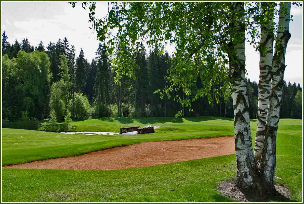 Фото Гольф-поля в Нахабино - фотограф Виктор Михалыч - пейзаж ...