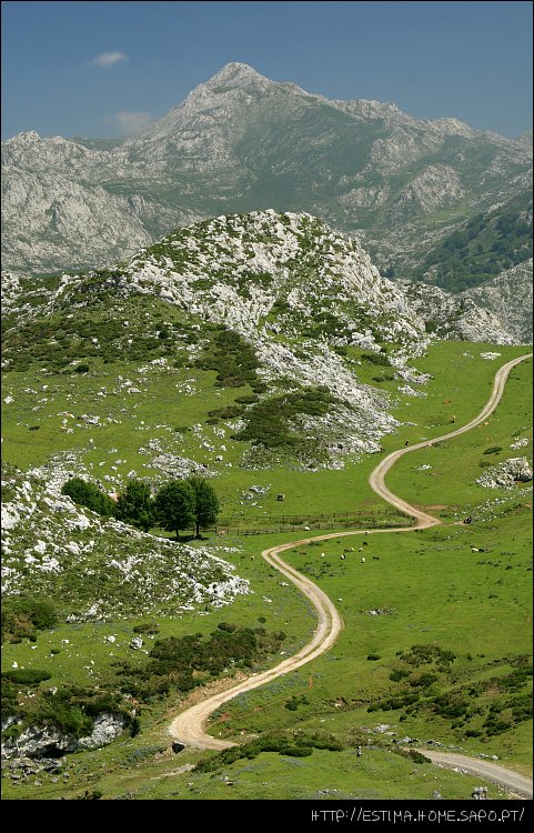 photo "Path" tags: landscape, mountains