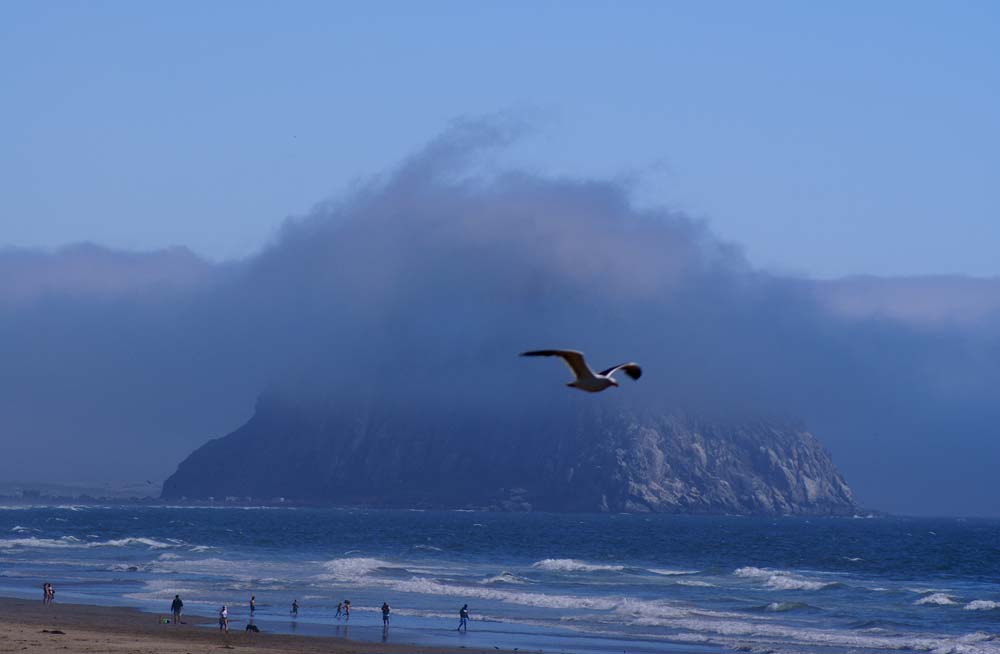 photo "Morro Rock" tags: landscape, panoramic, water