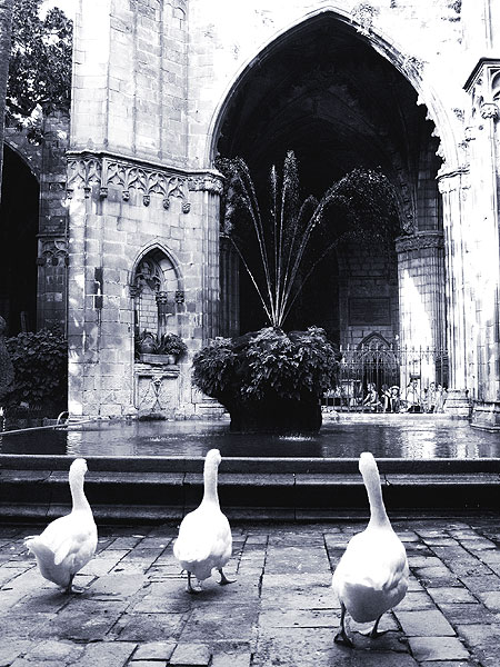 photo "***" tags: travel, Europe