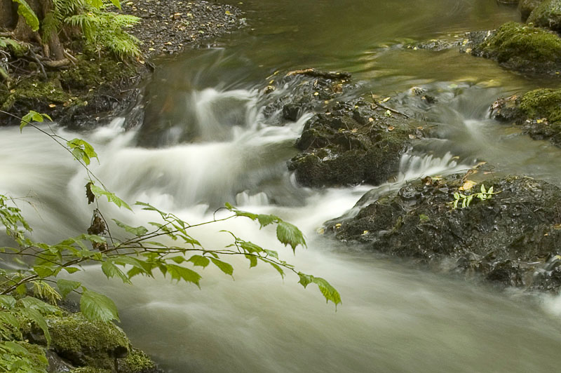 photo "Stream" tags: landscape, travel, Europe, water