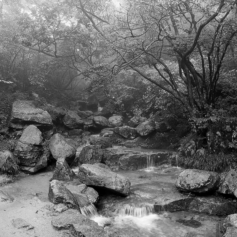 фото "Горный ручей в тумане" метки: пейзаж, вода, лес