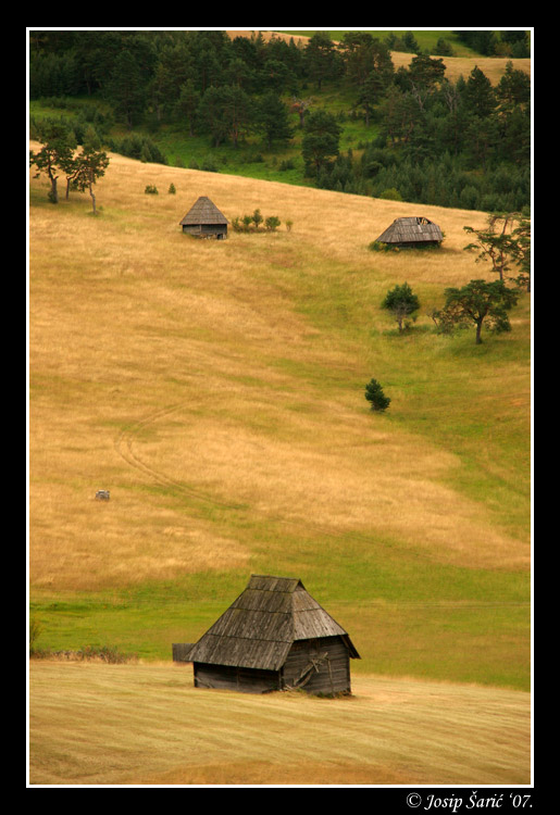 photo "Zlatibor Mountain" tags: landscape, mountains