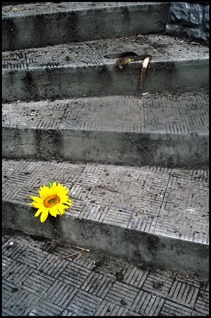 фото "Воспоминания о самоубийце Ван Гоге. Метаморфозы." метки: жанр, абстракция, 