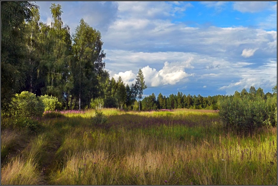 photo "Summer paints" tags: landscape, summer