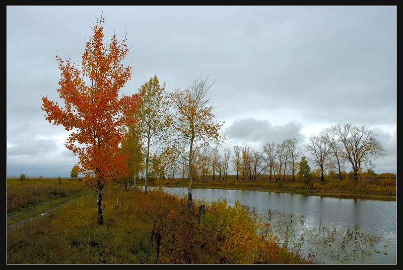 фото "Красная осина" метки: пейзаж, осень