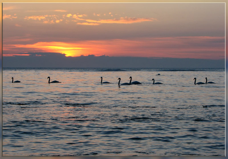 photo "***" tags: landscape, sunset