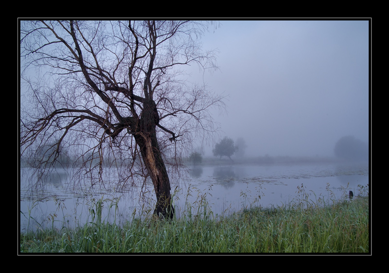 photo "***" tags: landscape, night, summer