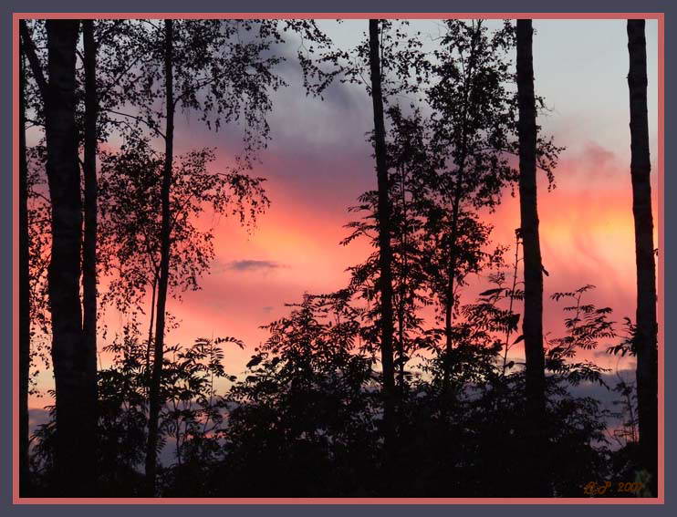 photo "***" tags: landscape, summer, sunset