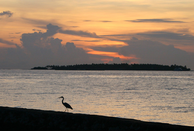 фото "Maldives' morning" метки: пейзаж, путешествия, Азия, закат