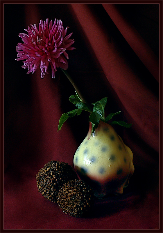 photo "Dahlia" tags: still life, 