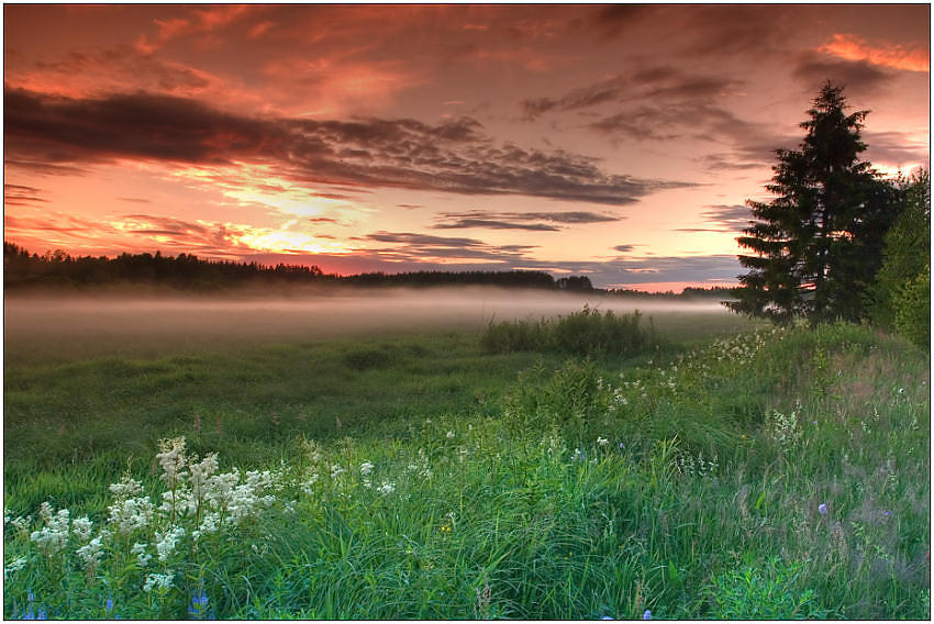 photo "Exciting herb" tags: landscape, summer, sunset