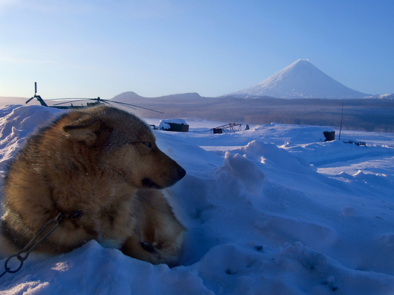 photo "***" tags: landscape, winter