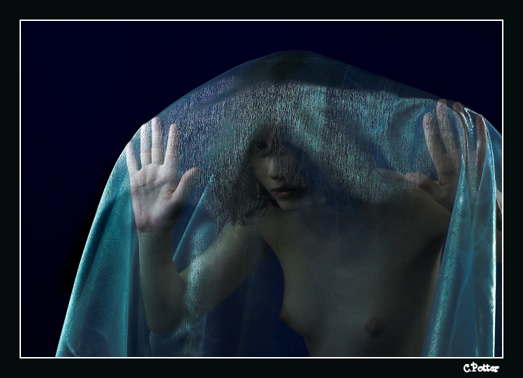 фото "Veil" метки: ню, портрет, женщина