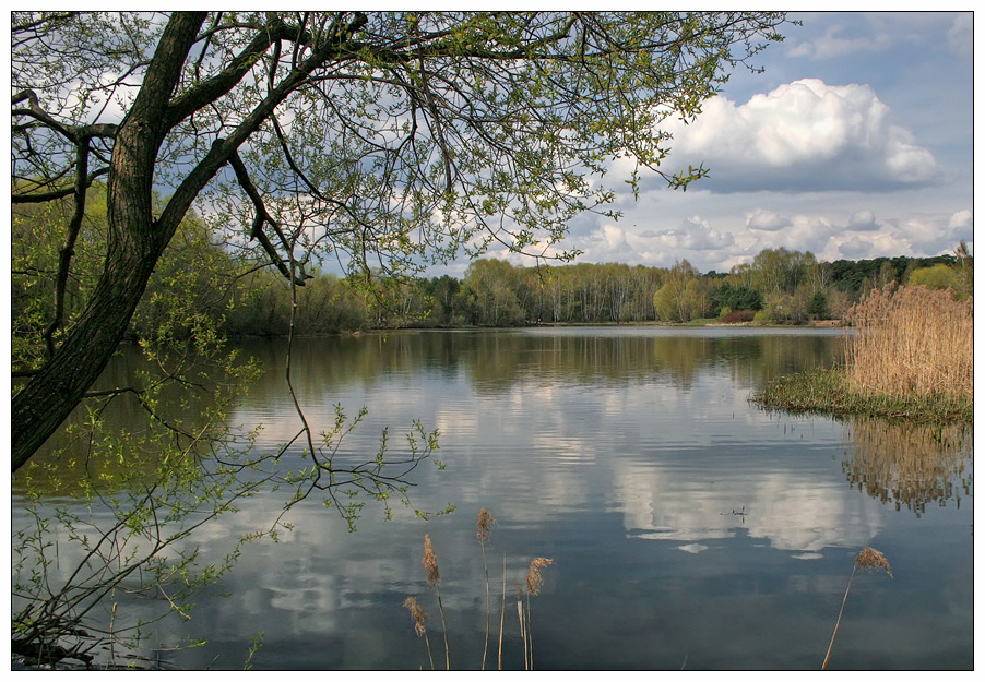 photo "Spring" tags: , 