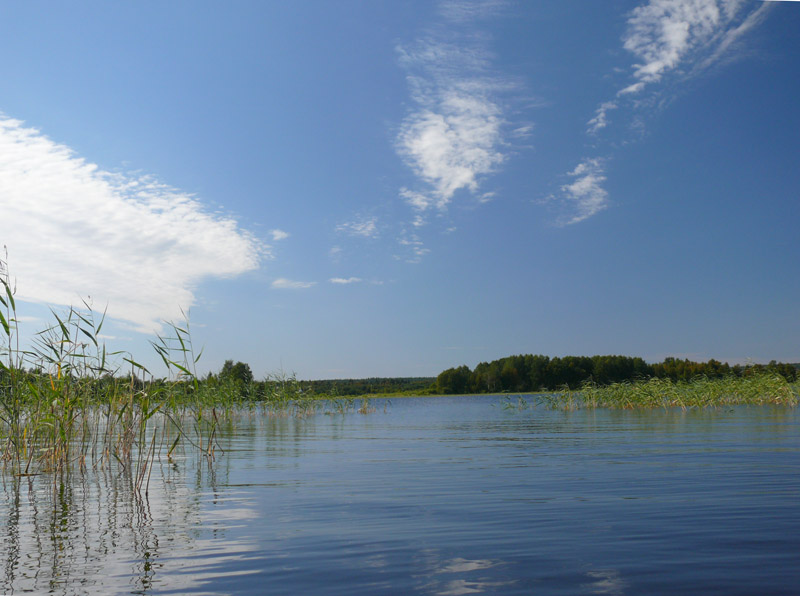 photo "***" tags: landscape, 