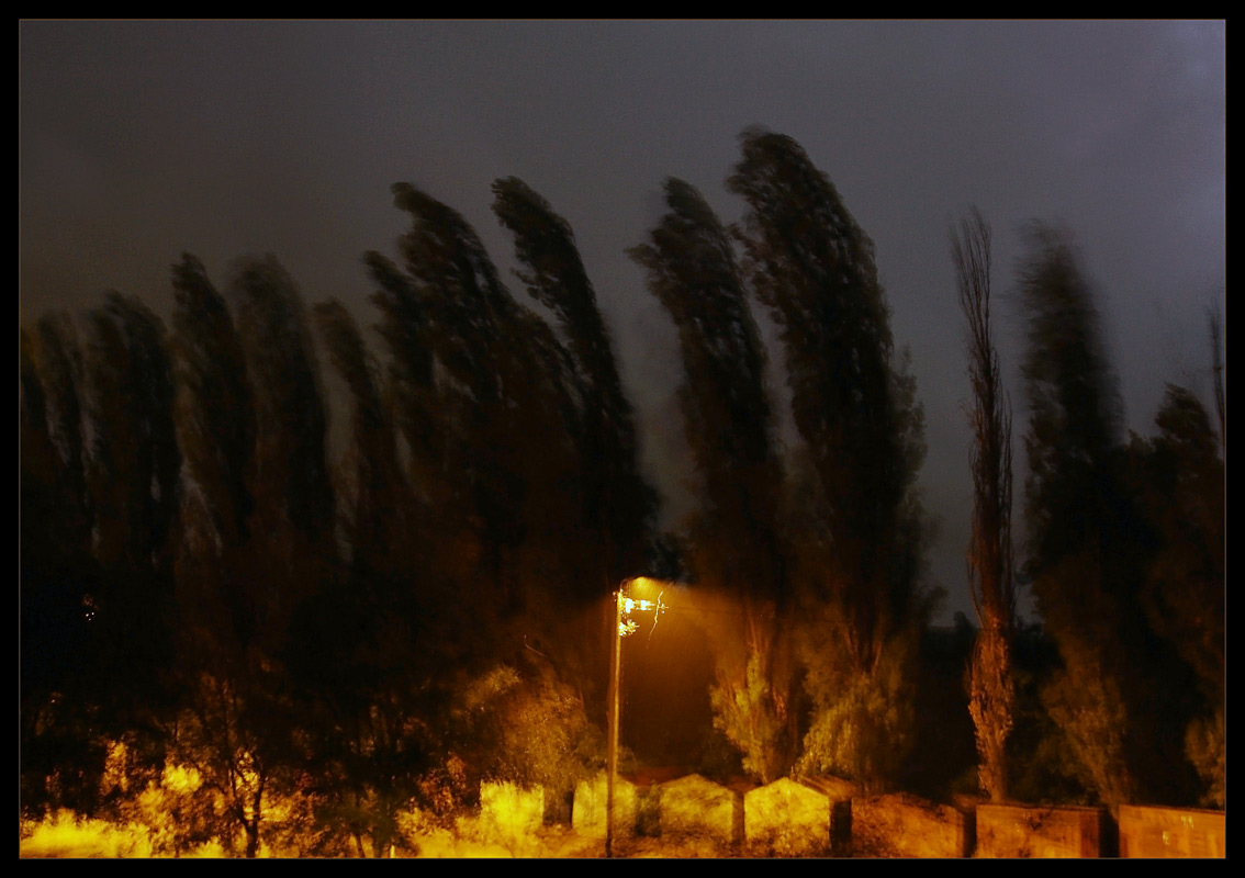 photo "Night wind" tags: landscape, night