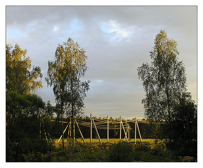 photo "Dancing on a glade." tags: landscape, summer