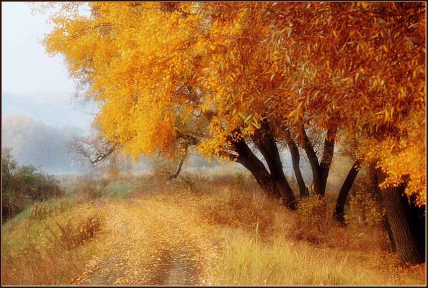 photo "***" tags: landscape, nature, autumn
