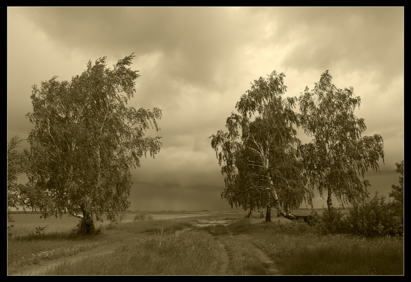 photo "***" tags: landscape, black&white, summer