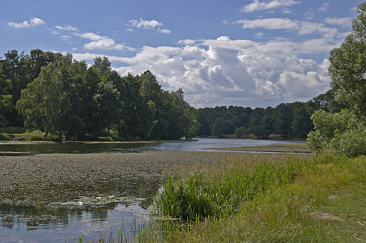 photo "***" tags: landscape, summer, water