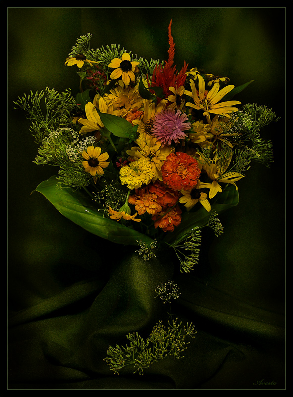 photo "Bouquet" tags: still life, nature, flowers