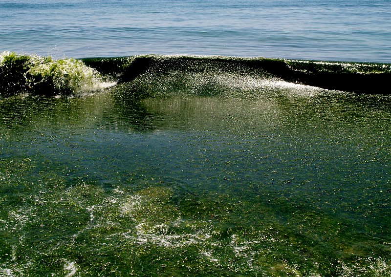 фото "Seaweed tide ..." метки: пейзаж, вода