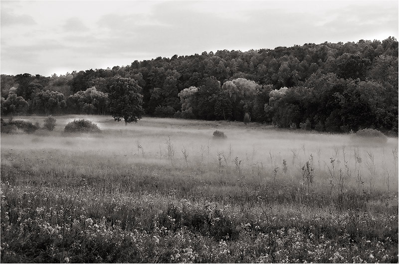 photo "Misty" tags: landscape, summer