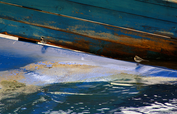 фото "blue" метки: разное, 