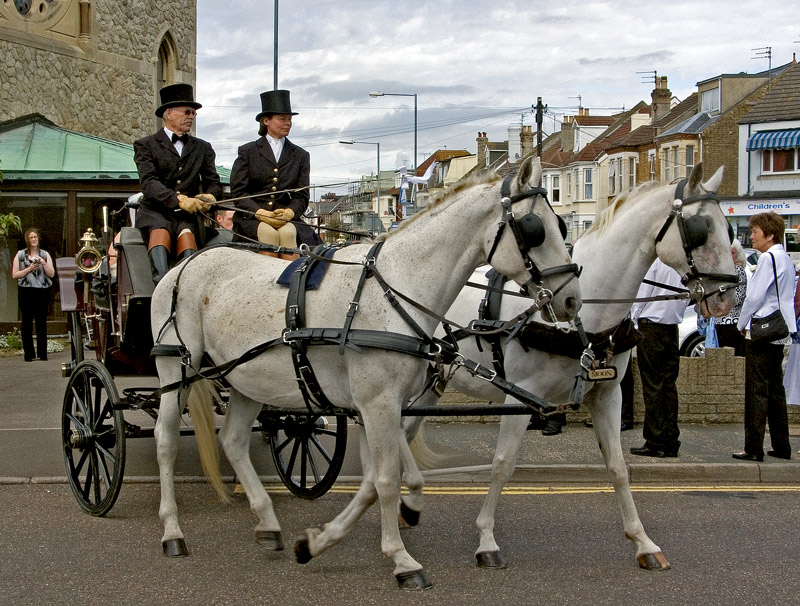 photo "Bride's horse drawn carriage" tags: travel, Europe