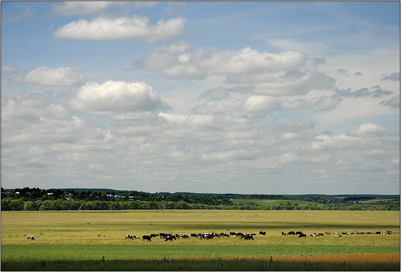 photo "***" tags: landscape, clouds, summer