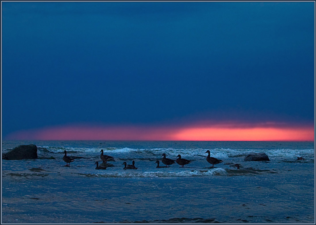 photo "Evening rest" tags: landscape, misc., water