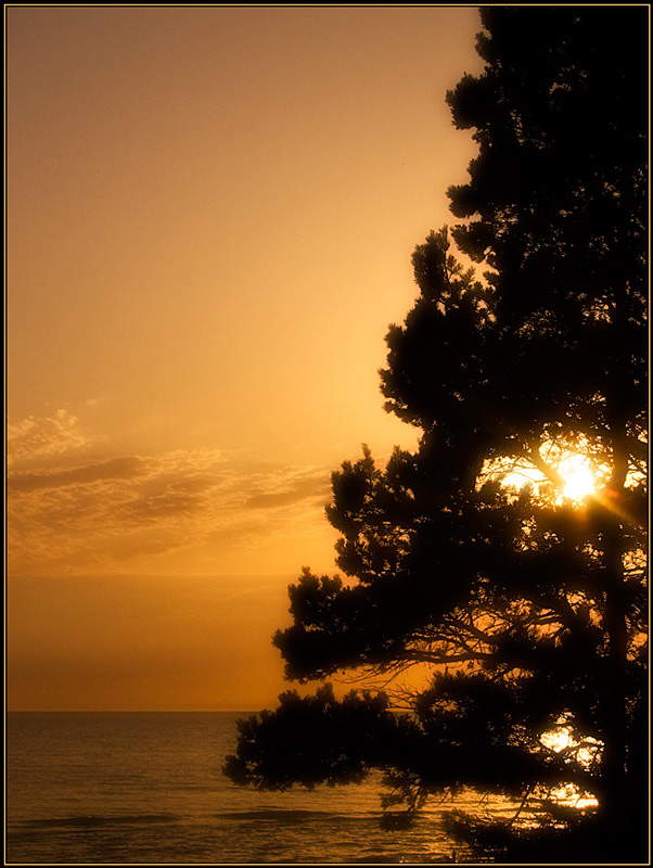 photo "Sunset" tags: landscape, sunset