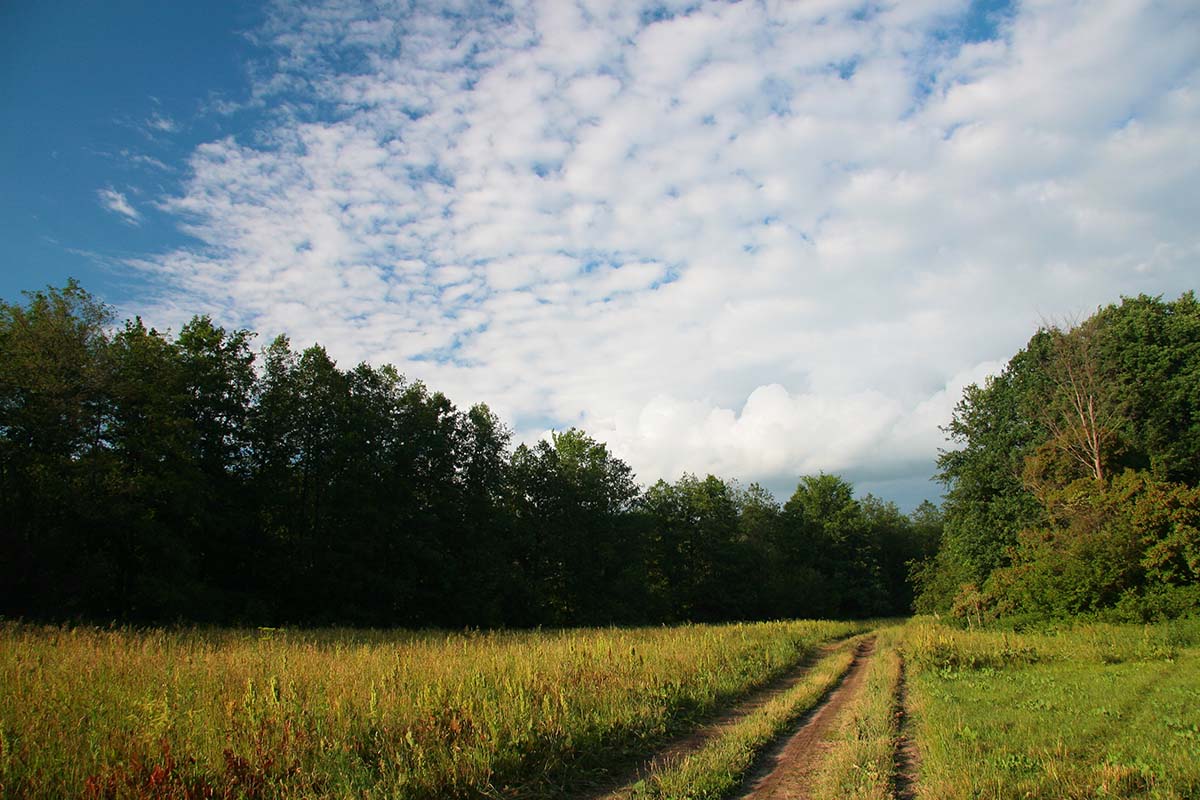 photo "***" tags: landscape, clouds, summer