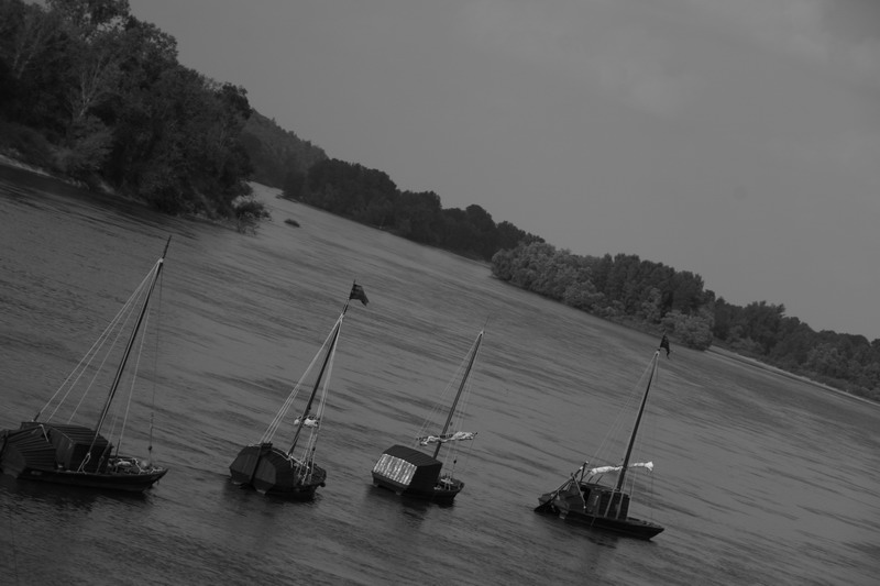 photo "Loira" tags: landscape, reporting, water