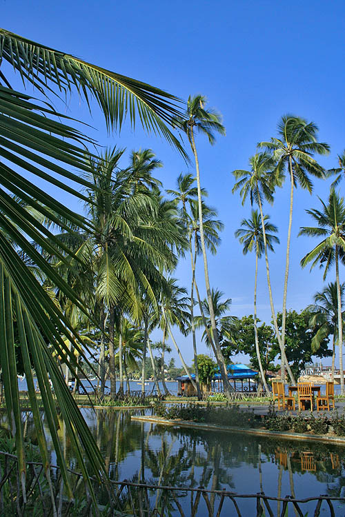 фото "Sri Lanka - the land like no other..." метки: путешествия, пейзаж, Азия