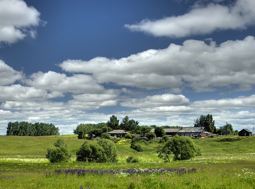 photo "The hot summer in village" tags: landscape, summer