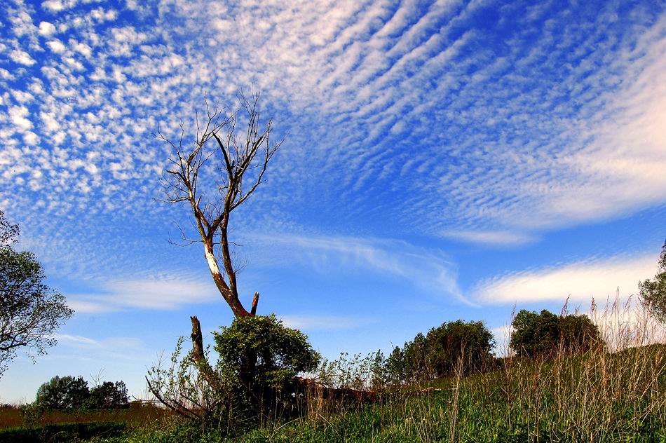 photo "***" tags: landscape, clouds