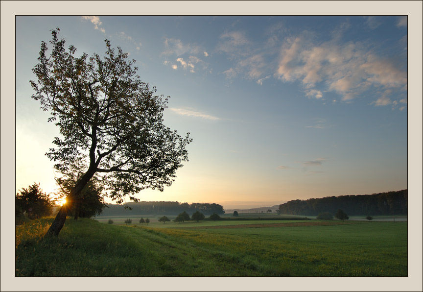 фото "Кто рано встаёт...  ;)" метки: пейзаж, закат