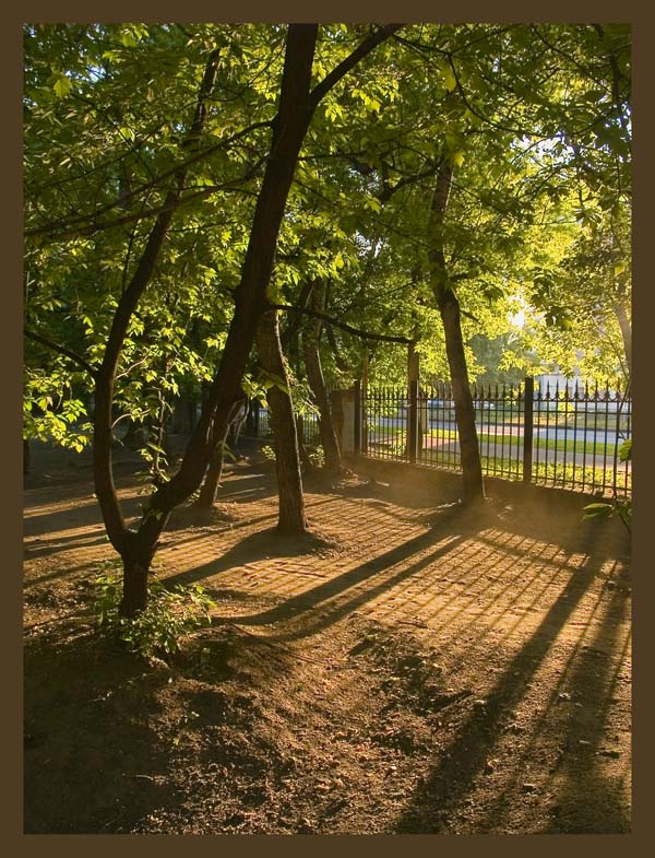 photo "Evening Park" tags: landscape, summer