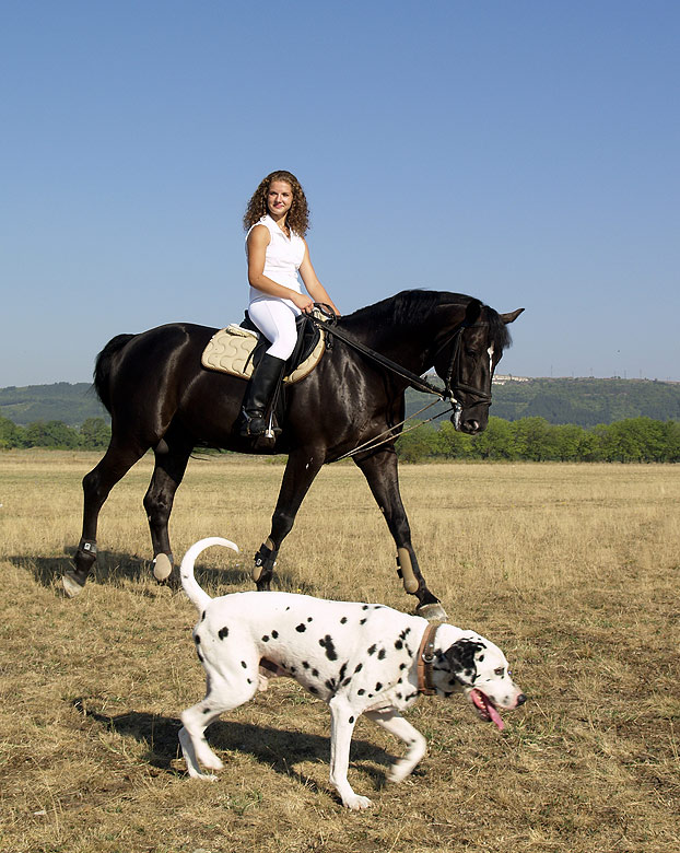 photo "***" tags: portrait, nature, pets/farm animals, woman