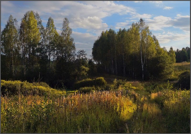 фото "Август. Золото заката" метки: пейзаж, закат